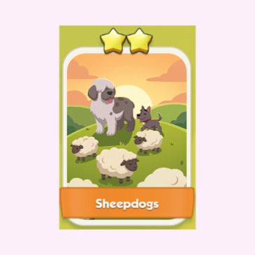 Sheepdogs