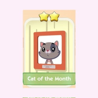 Cat of the Month