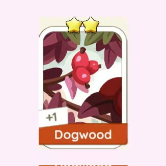 Dogwood