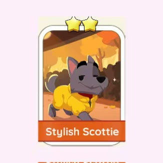 Stylish Scottie