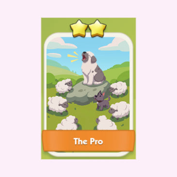 The Pro