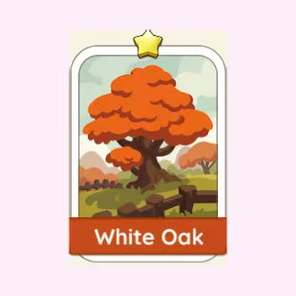White Oak