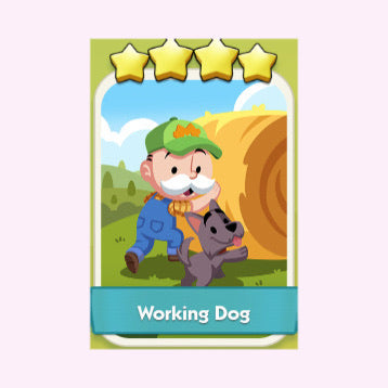 Working Dog